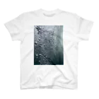 グリュックレーヴのSinking in water Regular Fit T-Shirt