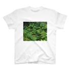 Hironori Murayama photographyのVOLCANO FOREST スタンダードTシャツ