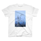 フォトグラファー小室直子の雪山 スタンダードTシャツ