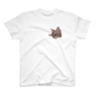 soraclaraの仔猫のくらら スタンダードTシャツ