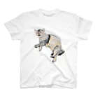 unyahamuの猫ののら スタンダードTシャツ