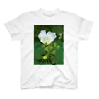 hiroki-naraの芙蓉 DATA_P_132　Confederate Rose ハスの花の古名 スタンダードTシャツ