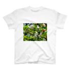 レモンタイムの庭のノカイドウの花 スタンダードTシャツ