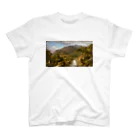 public domainのHeart of the Andes スタンダードTシャツ