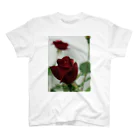 Gardenの濃くて赤い薔薇 Regular Fit T-Shirt