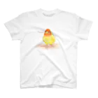 まめるりはことりのコザクラインコ　レイ【まめるりはことり】 Regular Fit T-Shirt