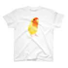 まめるりはことりのコザクラインコ　おすましルチノー【まめるりはことり】 Regular Fit T-Shirt