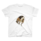 Takuya FunatoのSHIBA 柴犬 Regular Fit T-Shirt