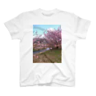 jurianoの四日市市桜地区の河津桜 スタンダードTシャツ