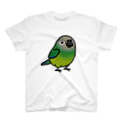 Cody the LovebirdのChubby Bird シモフリインコ スタンダードTシャツ