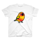 Cody the LovebirdのChubby Bird コガネメキシコインコ Regular Fit T-Shirt