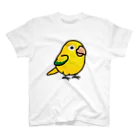 Cody the LovebirdのChubby Bird ニョオウインコ Regular Fit T-Shirt