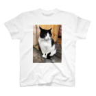猫和尚のＴシャツ屋さんの神社の猫 スタンダードTシャツ