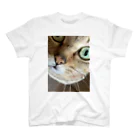 ここナッスの猫の名は、、、 Regular Fit T-Shirt