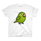 Cody the LovebirdのChubby Bird メジロメキシコインコ スタンダードTシャツ