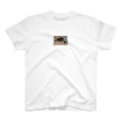 minminのくじらくん Regular Fit T-Shirt