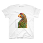 Noranoraの歌う鳥のデザインしてみました。 スタンダードTシャツ