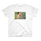 kokumotsu_teikokuのねこちゃんささってるよTシャツ スタンダードTシャツ