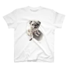 Momojiの犬画のパグ2 スタンダードTシャツ