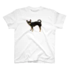 taisiboumoyasouの可愛すぎる犬 Regular Fit T-Shirt