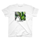 UPLOOKINのUPLOOKIN JUNGLE Regular Fit T-Shirt