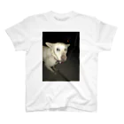 fun_doshiの光速犬 スタンダードTシャツ