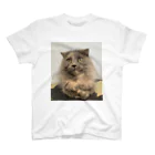 ネコまにあ 【12匹の猫➕うずら】のサビ猫はなちゃん Regular Fit T-Shirt