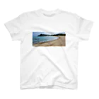 旅先pics📸の曇りの日の糸島の砂浜 スタンダードTシャツ