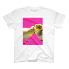 もんも09🐥🐥のオカメインコのかおるくんとひびきくん スタンダードTシャツ