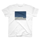 Somewhere in Suburbのpool スタンダードTシャツ