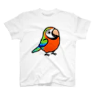 Cody the LovebirdのChubby Bird ハルクインコンゴウインコ スタンダードTシャツ