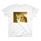 ムエックネの猫 スタンダードTシャツ