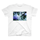 虎徹 雷蔵丸の木漏れ日と紫陽花 スタンダードTシャツ