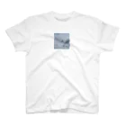 keita-keita のSKY 200618_KYOTO スタンダードTシャツ