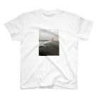 世界を旅するTシャツ屋さんのKorea flight T-shirt  スタンダードTシャツ