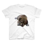 良々のぷーちゃん(雑種犬) Regular Fit T-Shirt