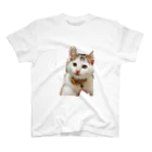 mucchinpurinの子猫 スタンダードTシャツ