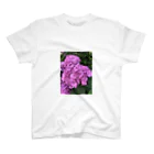 AbocadoのHydrangea スタンダードTシャツ