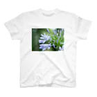 PhotoAtelier AileのAngel of Agapanthus 170702 Regular Fit T-Shirt