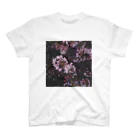 Bearsのさくら　Cherry Blossoms Regular Fit T-Shirt