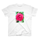 そとのショップの雨の日の薔薇 スタンダードTシャツ