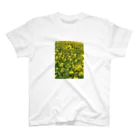 ken_nogiの菜の花 Regular Fit T-Shirt