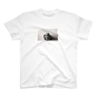 zzzのcat_bed Regular Fit T-Shirt