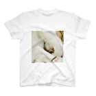 はやしの寝てる猫 スタンダードTシャツ