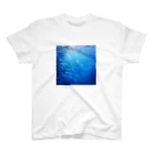 POP&Photoのsardine tornado photo スタンダードTシャツ