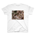 hiroki-naraの桜　サクラ　cherry blossom DATA_P_152　春　spring スタンダードTシャツ