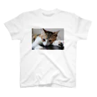 猫森トモミの三毛猫ネネ スタンダードTシャツ