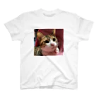 ほぼひめ。の三毛猫のひめ　8 スタンダードTシャツ