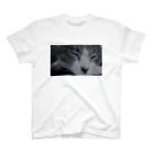 ofu_1010のお眠り猫2 スタンダードTシャツ