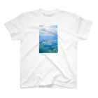 リンの工作室の雲と田畑　空 スタンダードTシャツ